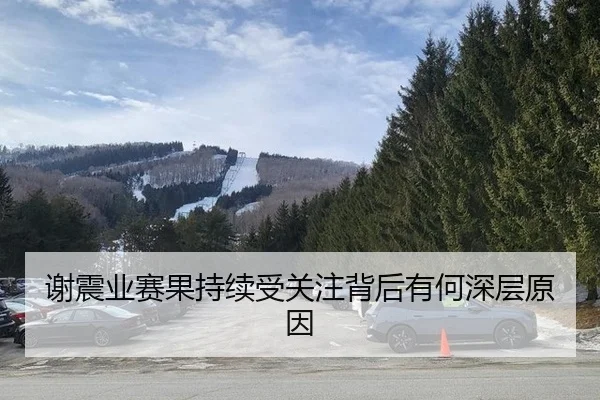 谢震业赛果持续受关注背后有何深层原因