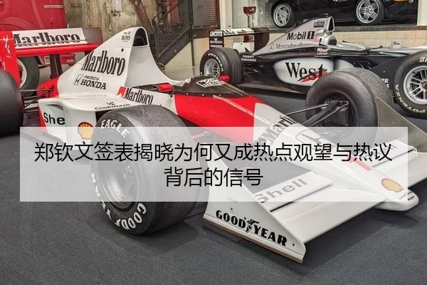 zheng-qin-wen-qian-biao-jie-xiao-wei-he-you-cheng-re-dian-guan-wang-yu-re-yi-bei-hou-de-xin-hao-2-998.jpg